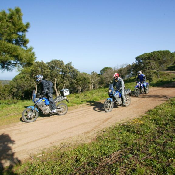 Diagonale trail