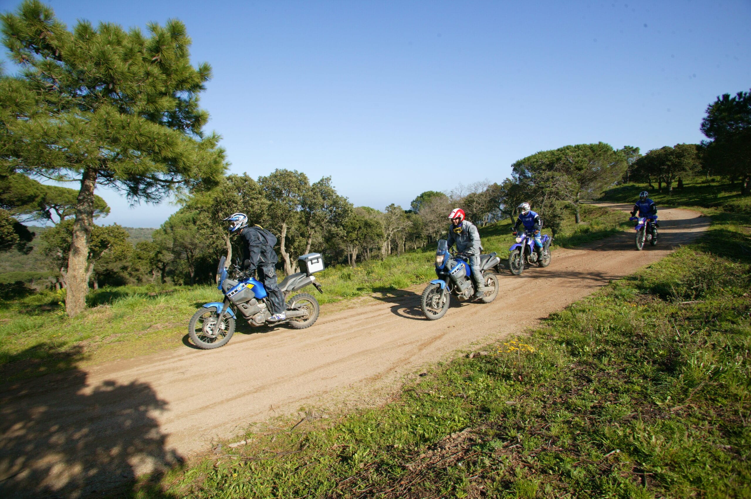 Diagonale trail