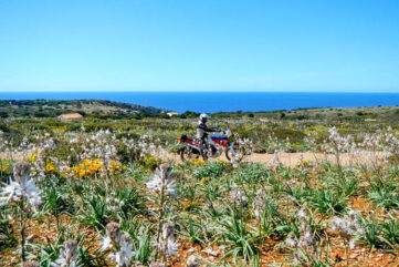 horizons sardegna