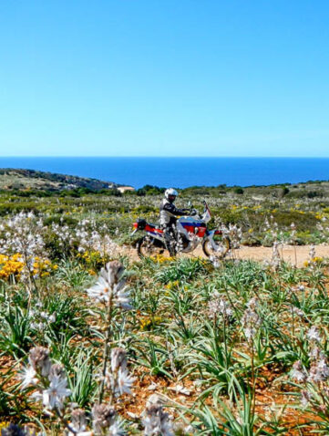horizons sardegna