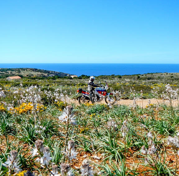 horizons sardegna