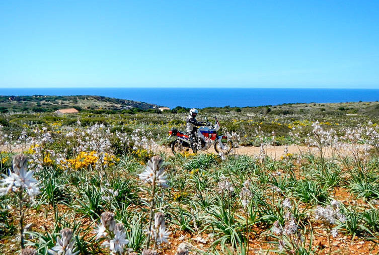 horizons sardegna