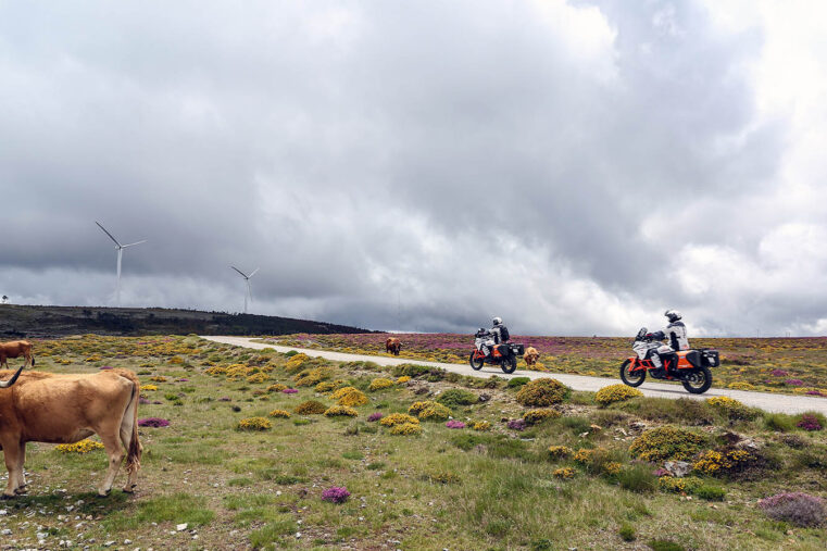 Freeride Spirit trail