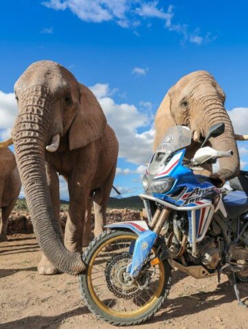 Honda Adventure Roads