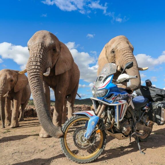 Honda Adventure Roads