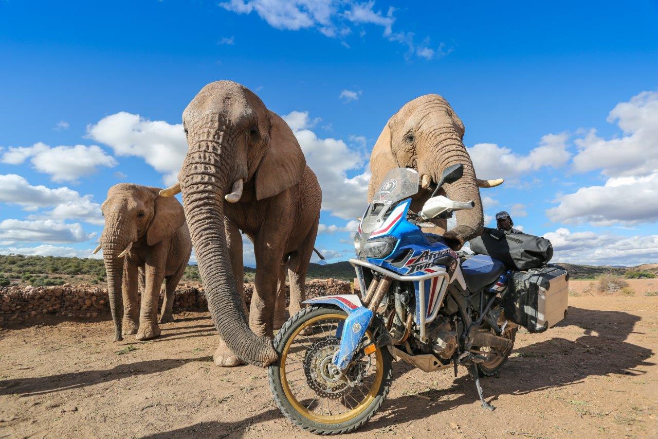 Honda Adventure Roads