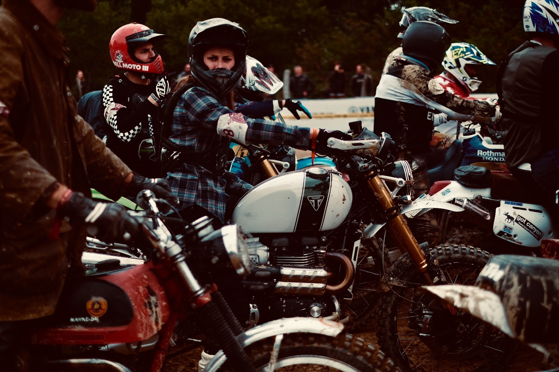 Wheels & Waves
