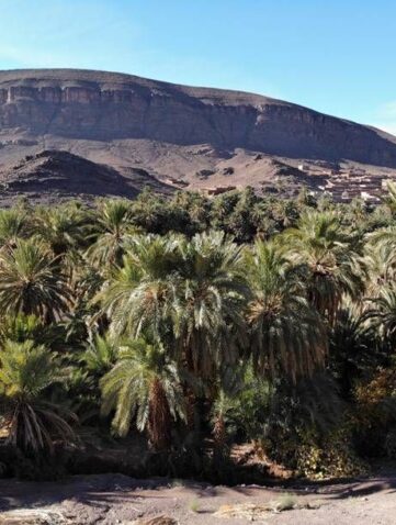 My Adventure Morocco