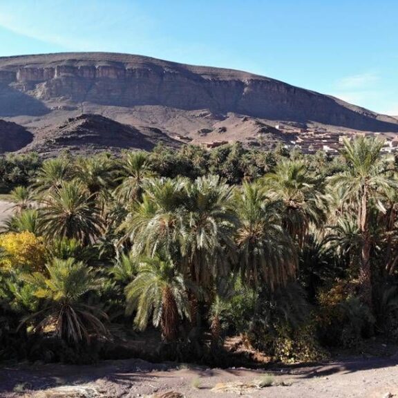 My Adventure Morocco