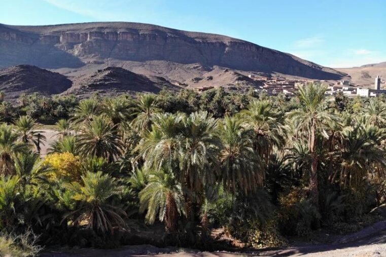 My Adventure Morocco