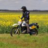 SUZUKI DR600