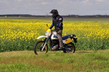 SUZUKI DR600