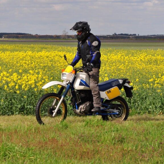 SUZUKI DR600
