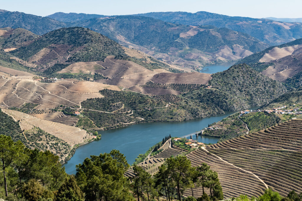 Douro et de sa magnifique vallée